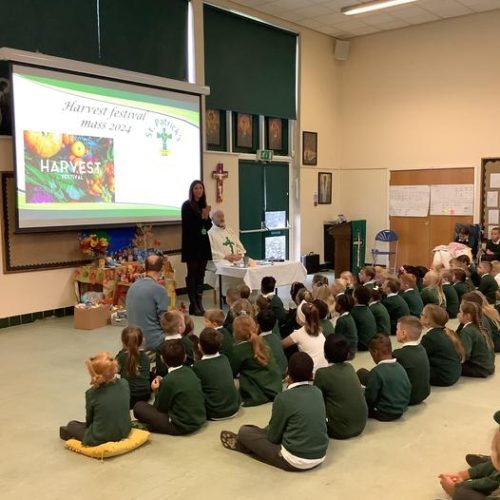 c3dd9c8e-ccc6-4b08-9159-d101f8038f87_1x1