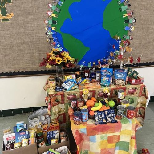 cc4283fc-7e11-4773-9591-031f39fc818f_1x1