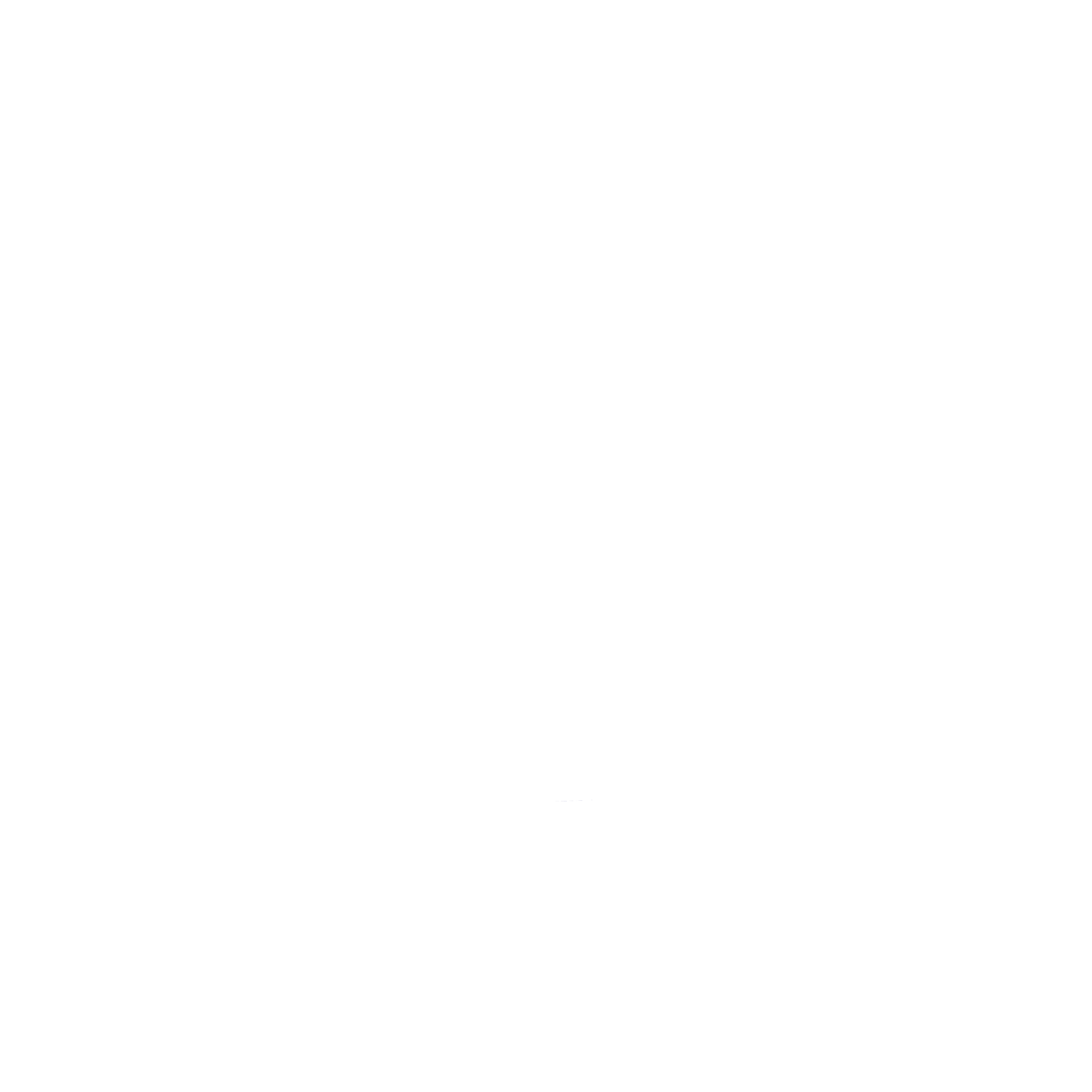 St Francis logo REVERSED-1